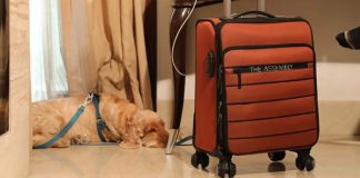Understand the basic facts of Delsey Luggage