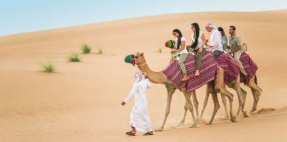 Dubai with Camel Desert Safari