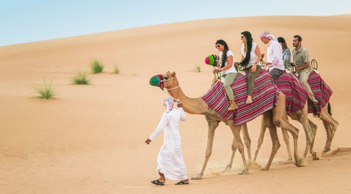 Dubai with Camel Desert Safari